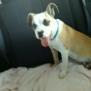 Meet your Posher, Dalphine